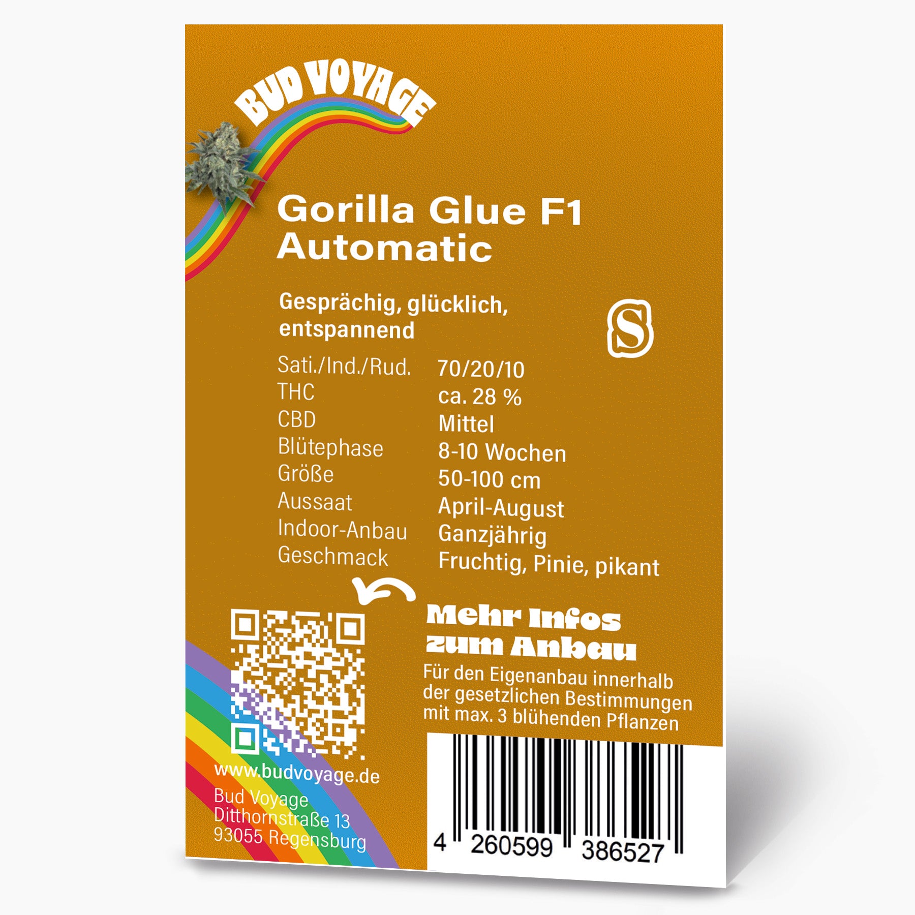 Grafika produktu Bud Voyage: Gorilla Glue F1 Automatické konopné semínko s duhou, QR kódem a ovocnou, piniovou a kořeněnou příchutí.
