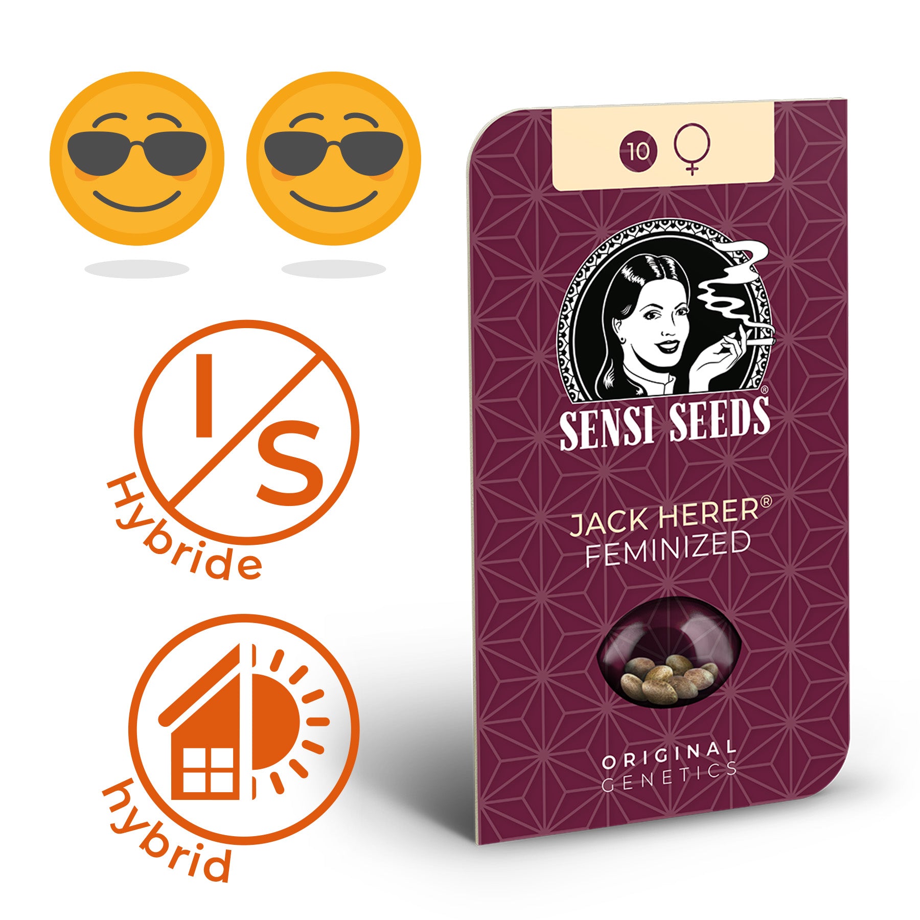 Obrázek produktu Sensi Seeds zobrazuje feminizovaná semena konopí Jack Herer ve vínovém obalu se stylizovanou ženou a geometrickým vzorem, semena jsou světle hnědá a na obalu je číslo 10 a symbol ženy.
