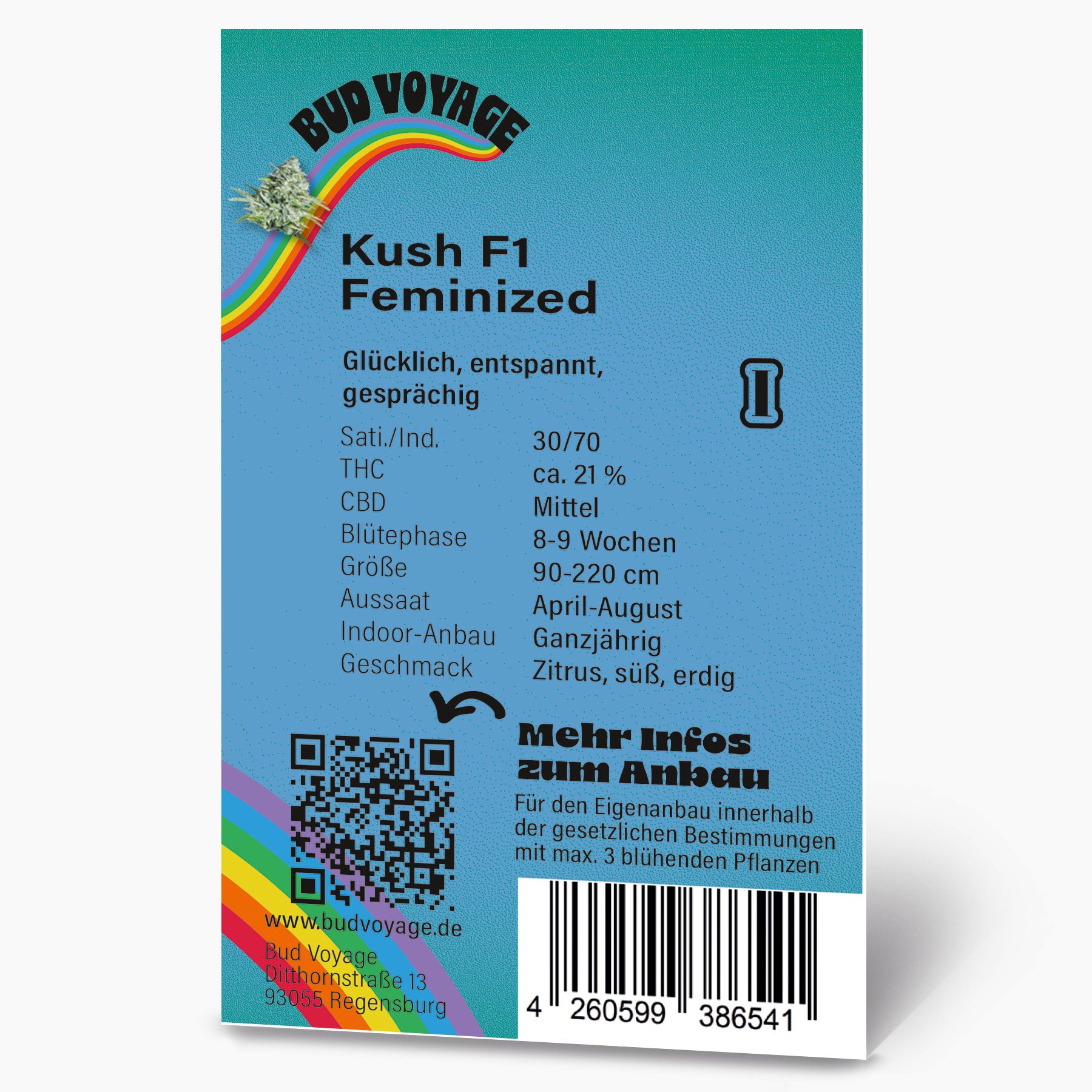 Bud Voyage Grafikdesign: Kush F1 feminisierte Hanfsaatpackung mit Regenbogen, QR-Code und detailliertem Produktinformationstext auf blauem Hintergrund
