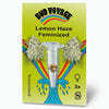 Grafický design Bud Voyage, balení feminizovaných semen konopí Lemon Haze zobrazující tři semena ve zkumavce, zářivou duhu a stylizovanou grafiku vody.
