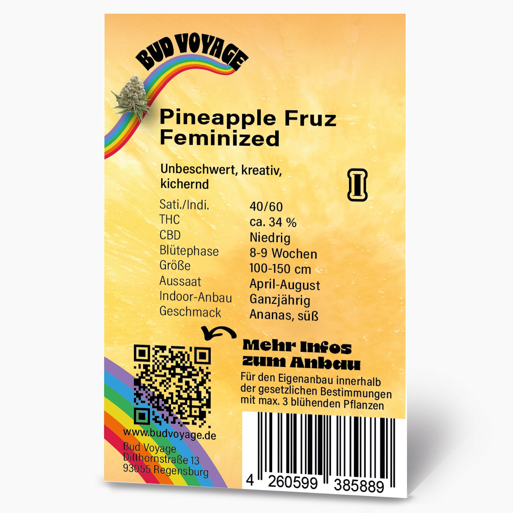Bud Voyage graphic design, Pineapple Fruz feminized cannabis product packaging showing a rainbow, a cannabis bud, and a QR code with location details
