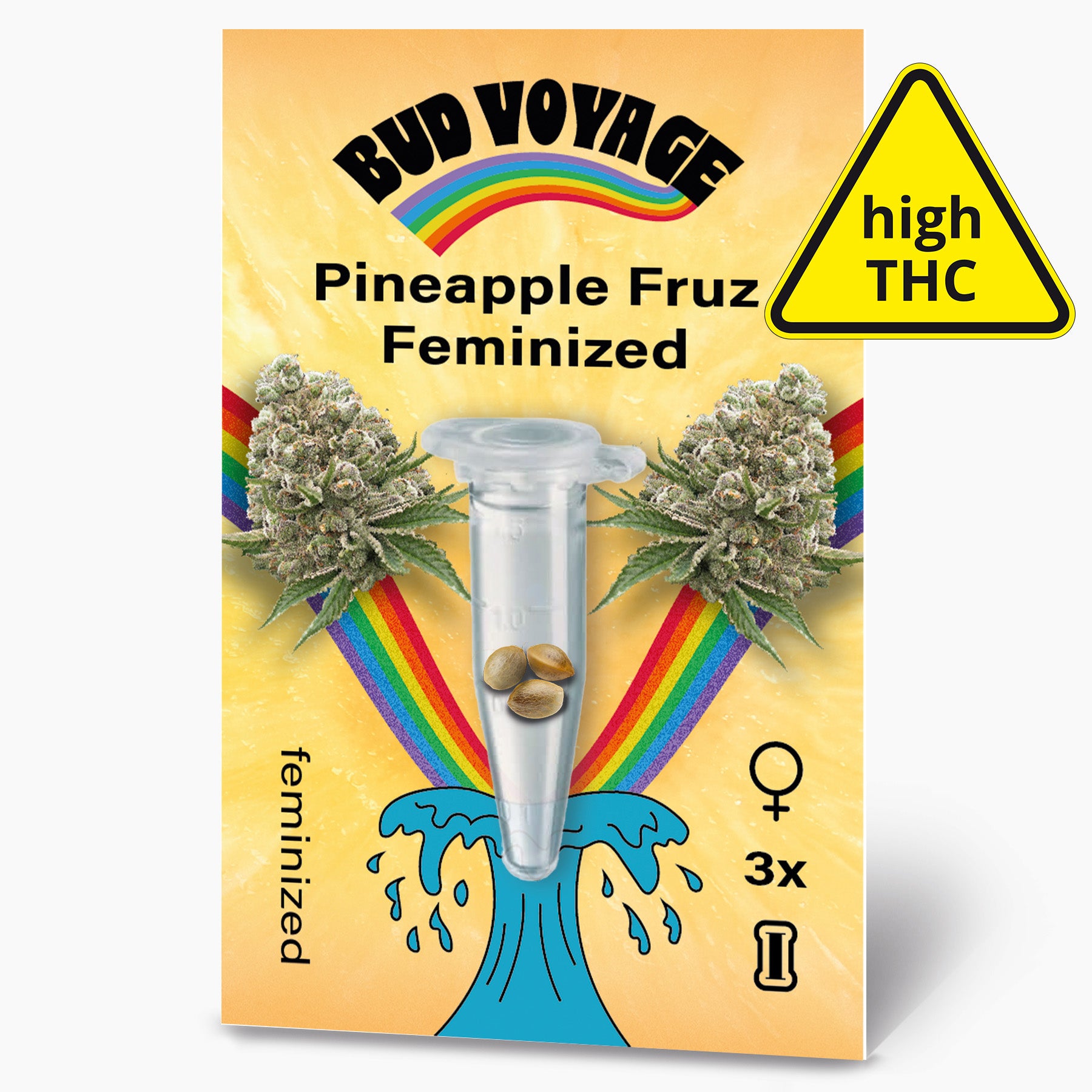 Balení konopných semínek Bud Voyage Pineapple Fruz Feminizované konopí zobrazuje tři semínka ve zkumavce mezi dvěma poupaty konopí na duhovém pozadí se stylizovanou vlnou a upozorněním na vysoký obsah THC.
