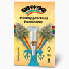 Bud Voyage graphic design showing Pineapple Fruz feminized cannabis seeds in a test tube with vibrant rainbow and stylized wave details
