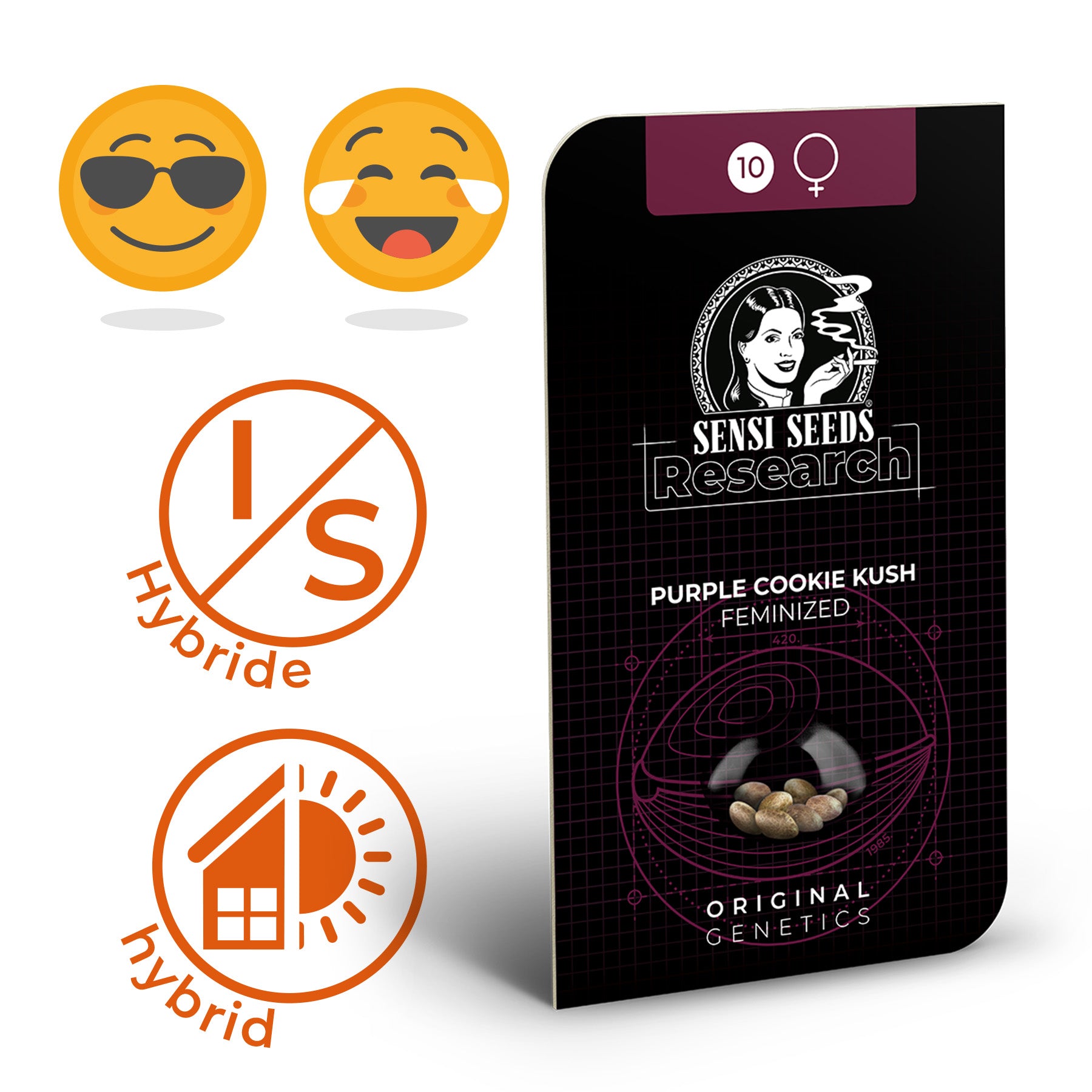 Obrázek produktu Sensi Seeds Research zobrazuje feminizovaná semena Purple Cookie Kush v balení s výraznou grafikou, retro stylem a zobrazením deseti semen ve fialovo-černém barevném provedení.
