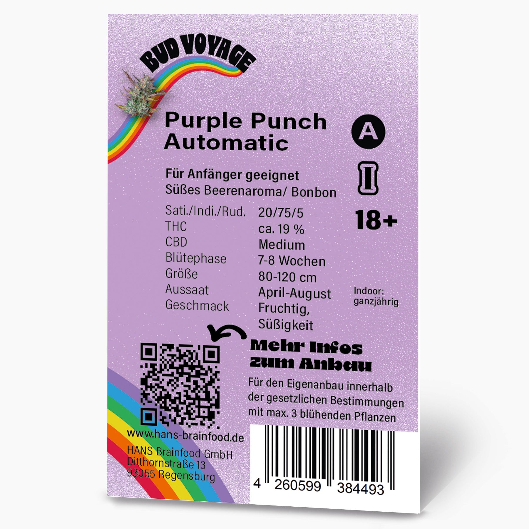 Graphic design by Bud Voyage depicting Purple Punch Automatic cannabis strain with a rainbow, QR code, and  barcode on a lavender background
