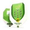 Grafický design od Royal Queen Seeds zobrazuje balíček semen konopí Haze Berry Automatic s jasně zelenými prvky, deseti průhlednými semennými lusky a zlatožlutým logem bobule na bílém pozadí.
