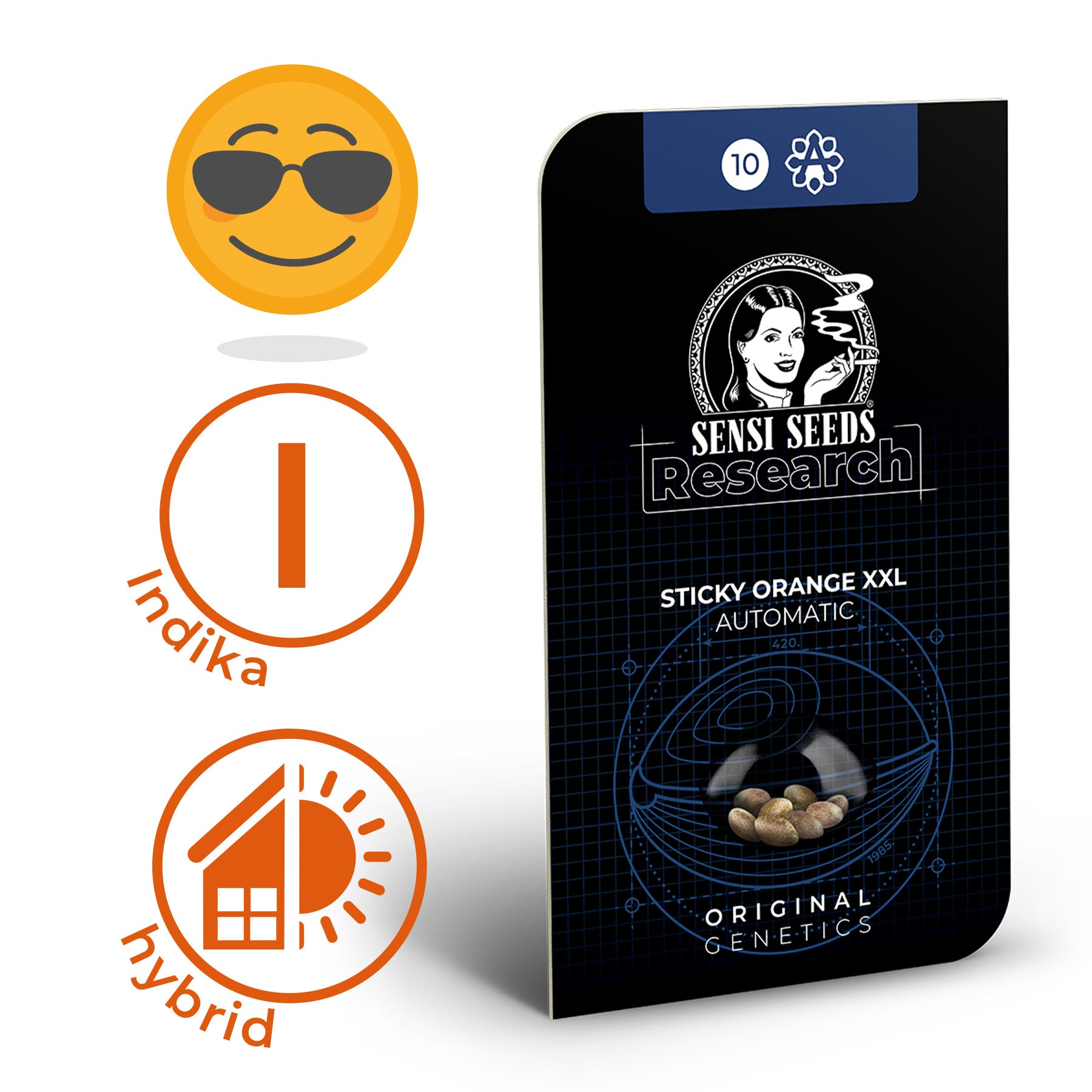 Sensi Seeds Research grafika produktu: Sticky Orange XXL Automatické balení semen konopí s ilustrací ženy, oranžovými akcenty a logem v technickém provedení.
