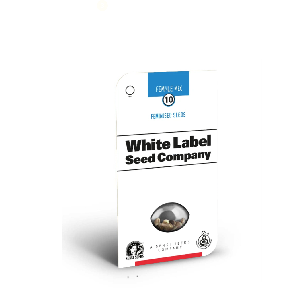 Obrázek produktu White Label Seed Company zobrazující balení deseti feminizovaných semen, produkt společnosti Sensi Seeds Company, s jasným pohledem na samotná semena a modrobílou etiketou.
