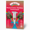 Bud Voyage grafický design: Watermelon Zkittlez feminizovaná semena, tři semena ve zkumavce na červeném pozadí s duhovou a tyrkysovou vlnou, jsou vidět květy a semena marihuany
