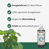 Snímek produktu zobrazující láhev BioBizz Bio-Heaven s rostlinnou výživou vedle rostliny Calathea s nápadnými zelenobíle pruhovanými listy na tmavě zeleném pozadí.
