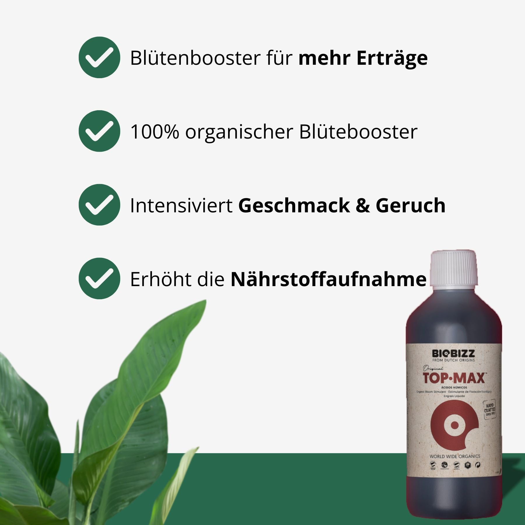 Produktfoto: Biobizz Top-Max, ein dunkler, organischer Blütebooster in einer Flasche mit einem roten Kreis auf dem Etikett, vor einem Hintergrund mit großen, grünen Blättern.
