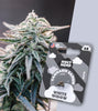 Fotografie produktu od US Genetics: tři semena konopí White Widow v balení s motivem mraku na pozadí kvetoucí rostliny konopí s nápadnými stříbřitými trichomy a tmavě zelenými listy.
