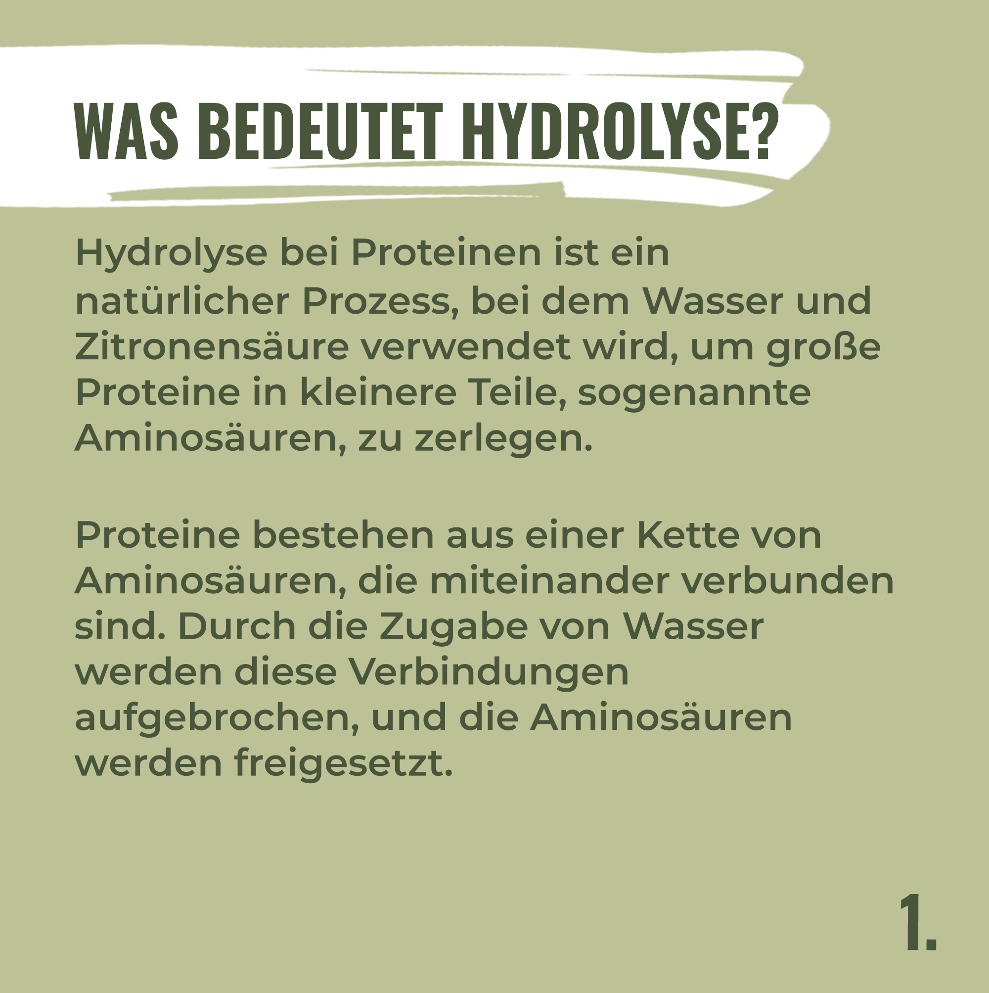 Digitales Bild, Text auf sagegrünem Hintergrund mit der Überschrift Was bedeutet Hydrolyse, erklärt den Prozess der Hydrolyse von Proteinen mit Wasser und Zitronensäure, mit dunkelgrünem Text und der Nummer 1 am Ende