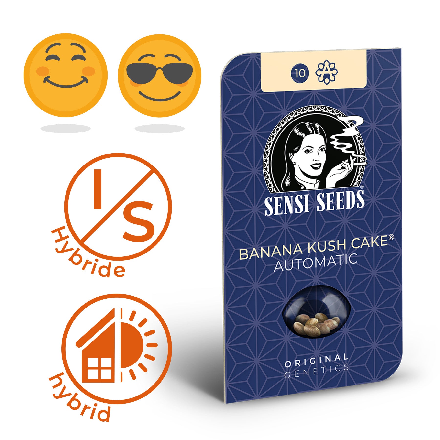 Grafický obrázek produktu Sensi Seeds zobrazuje automatická semena Banana Kush cake v tmavě modrém balení s geometrickým vzorem, portrétem ženy a nápisy Original Genetics, 10 semen a Hybrid.
