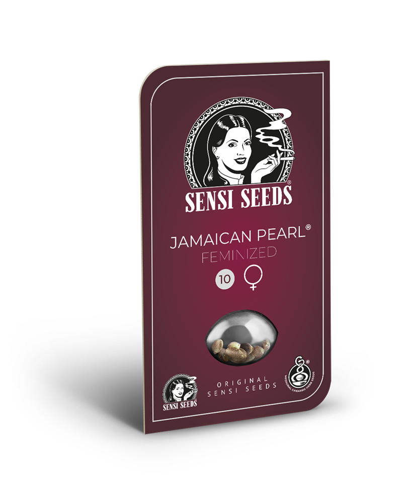 Na obalu Sensi Seeds je deset feminizovaných semen Jamaican Pearl v průhledné kapsli na tmavě červeném pozadí s retro ženou a výraznými bílými nápisy.