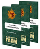 Balení Barney's Farm, feminizovaná semena Mimosa x Orange Punch, zelené pozadí s opakujícím se slunečním vzorem, zlatým nápisem a nizozemským původem.
