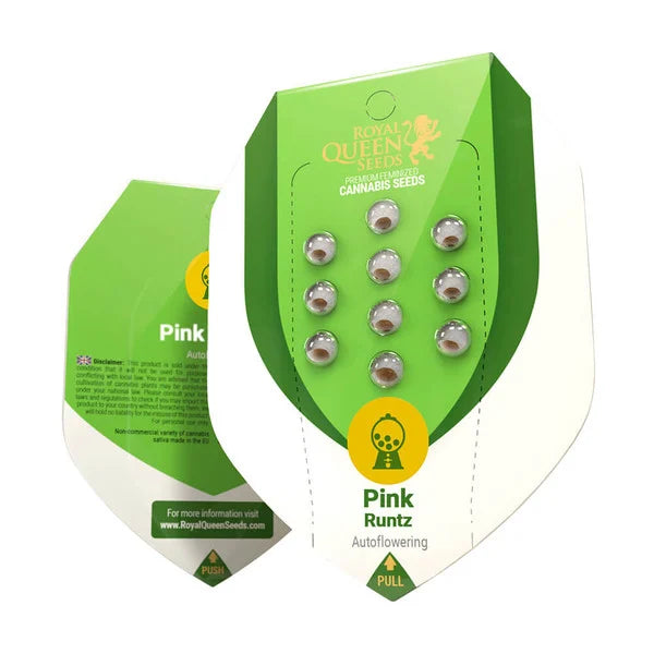 Balení Royal Queen Seeds obsahuje dvanáct samonakvétacích semen konopí Pink Runtz ve světle zeleném obalu s designem gumového medvídka a poutavými zlatými detaily.
