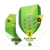 Na obalu semen Royal Queen Seeds jsou semena konopí Royal Haze Automatic v zeleném obalu s motivem větrného mlýna a zlatými šálky na bílém pozadí.
