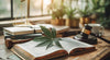 cannabis, CanG, law, regulate, penalties, plants, possession, consumption