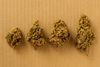 cannabis, drying, drying, cardboard, flowers, buds