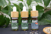 Terpenes in CBD and their anti-inflammatory effect - HANS Brainfood