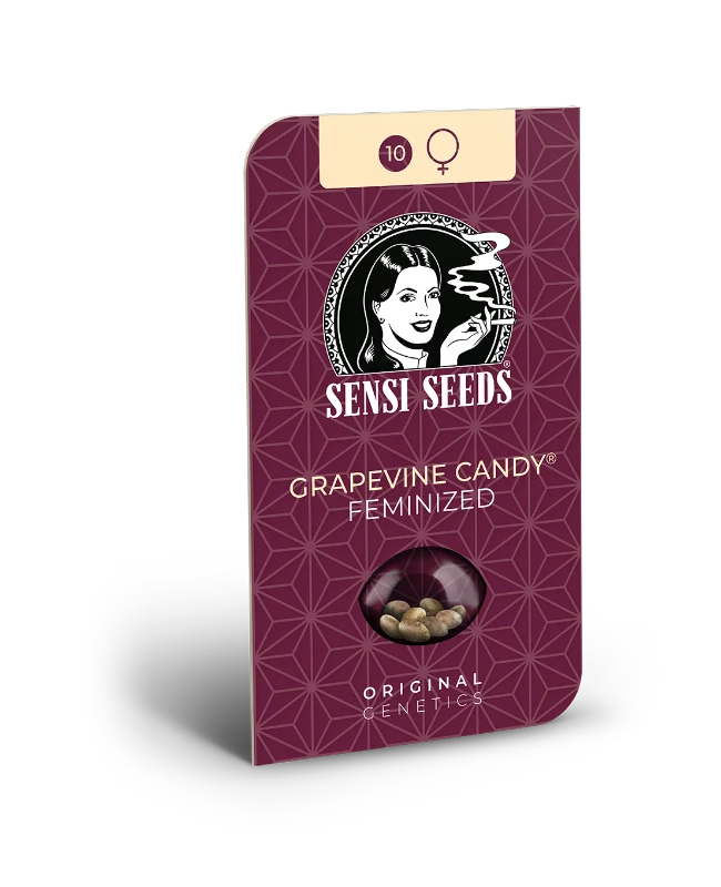 Hanfsamen Sensi Grapevine Candy Fem (fruchtig, euphorisch, entspannend)
