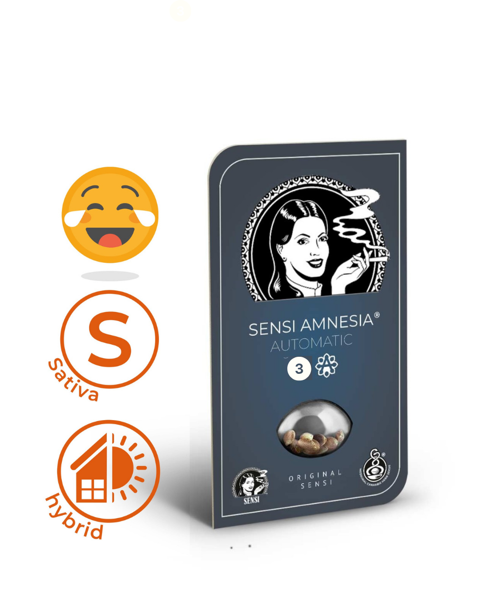 Sensi Seeds product packaging illustration featuring a retro woman smoking, showcasing cannabis seeds, the Sensi Amnesia Automatic variety, and a number 3 in a dark teal and orange design
