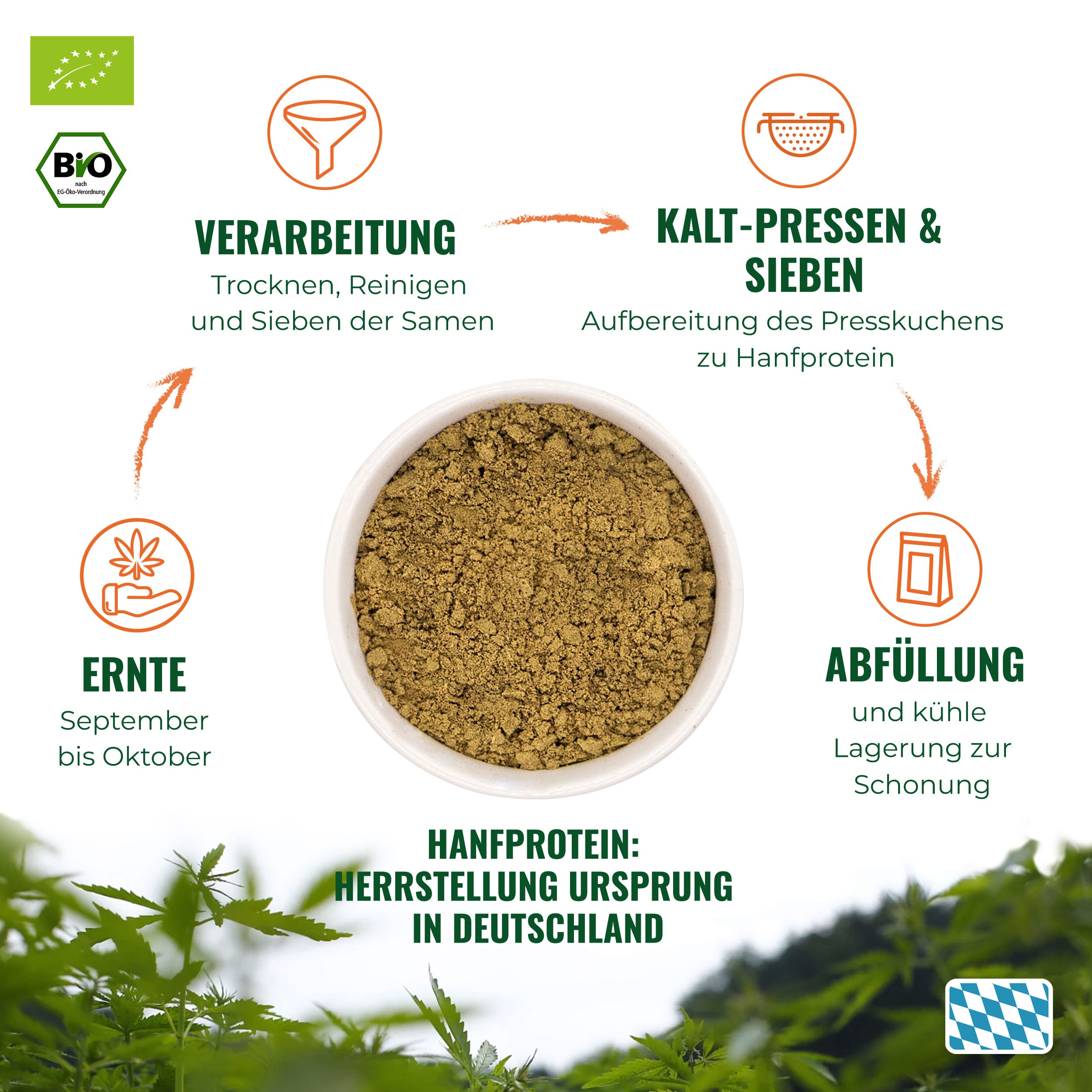 Graphic: Illustration of hemp protein production in Germany with organic seal, a bowl of light brown hemp protein powder and a Bavarian flag
