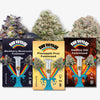Bud Voyage digital art featuring Blackberry Moonrocks, Pineapple Fruz, and Hellfire OG feminized cannabis strains with vibrant rainbow accents and test tube imagery

