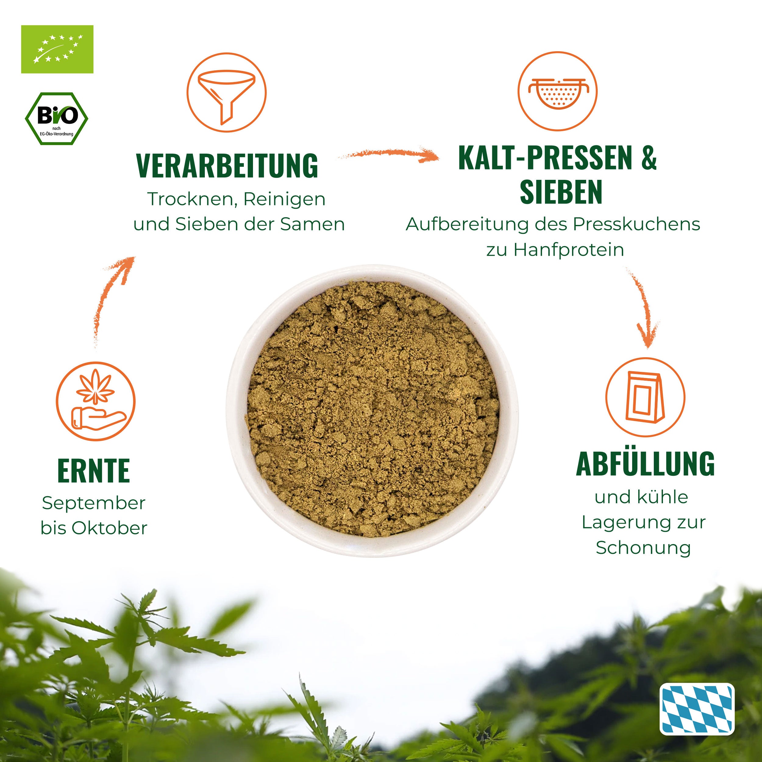 Graphic representation of the hemp protein production process with hemp plants, a bowl with light brown powder, sieve and funnel, as well as the Bavarian diamond pattern
