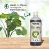 Hanf Dünger BIOBIZZ Acti-Vera