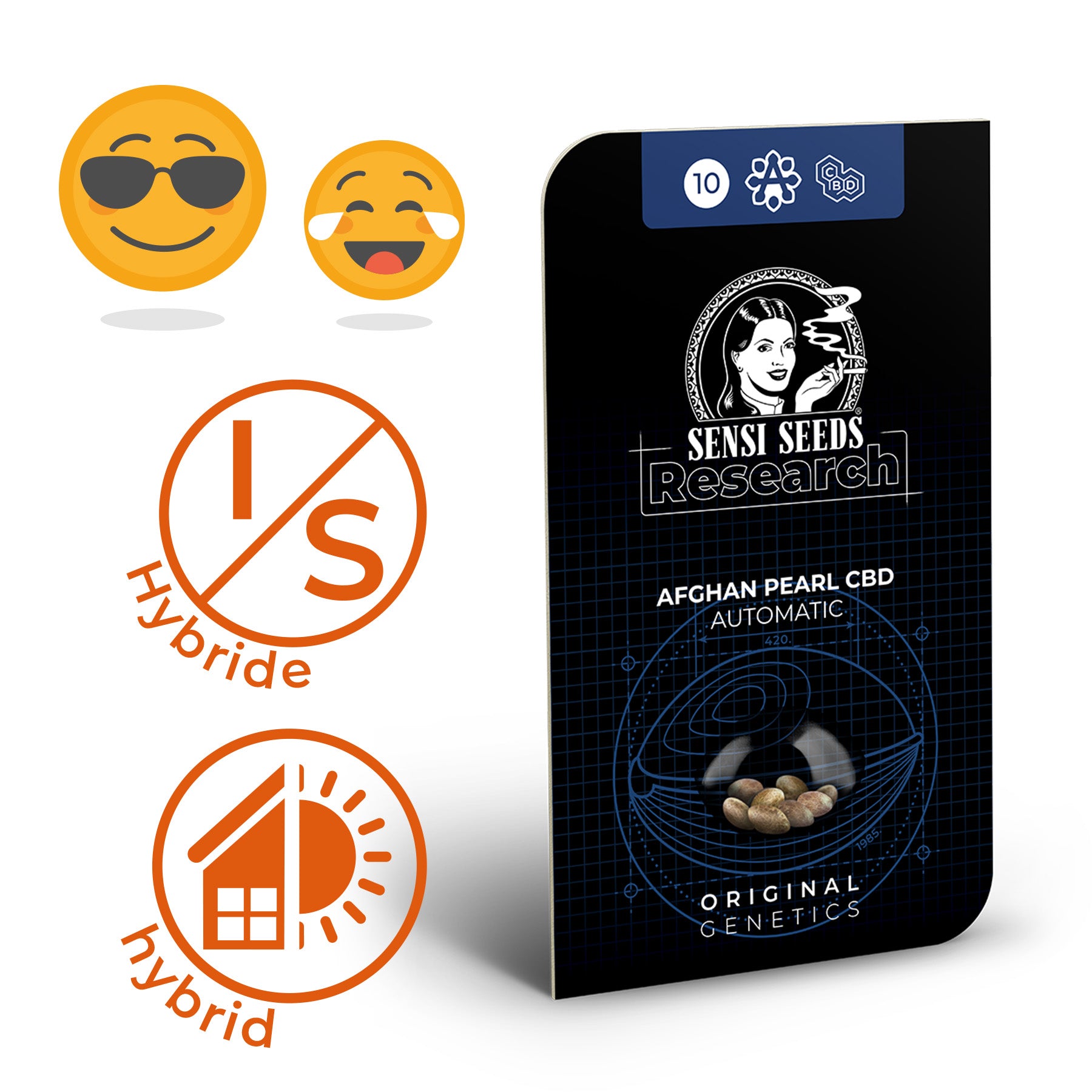 Digital illustration by Sensi Seeds Research: Afghan Pearl CBD Automatic seed packet with illustration of a woman, ten seeds, orange hybrid symbols and detailed blue graphics
