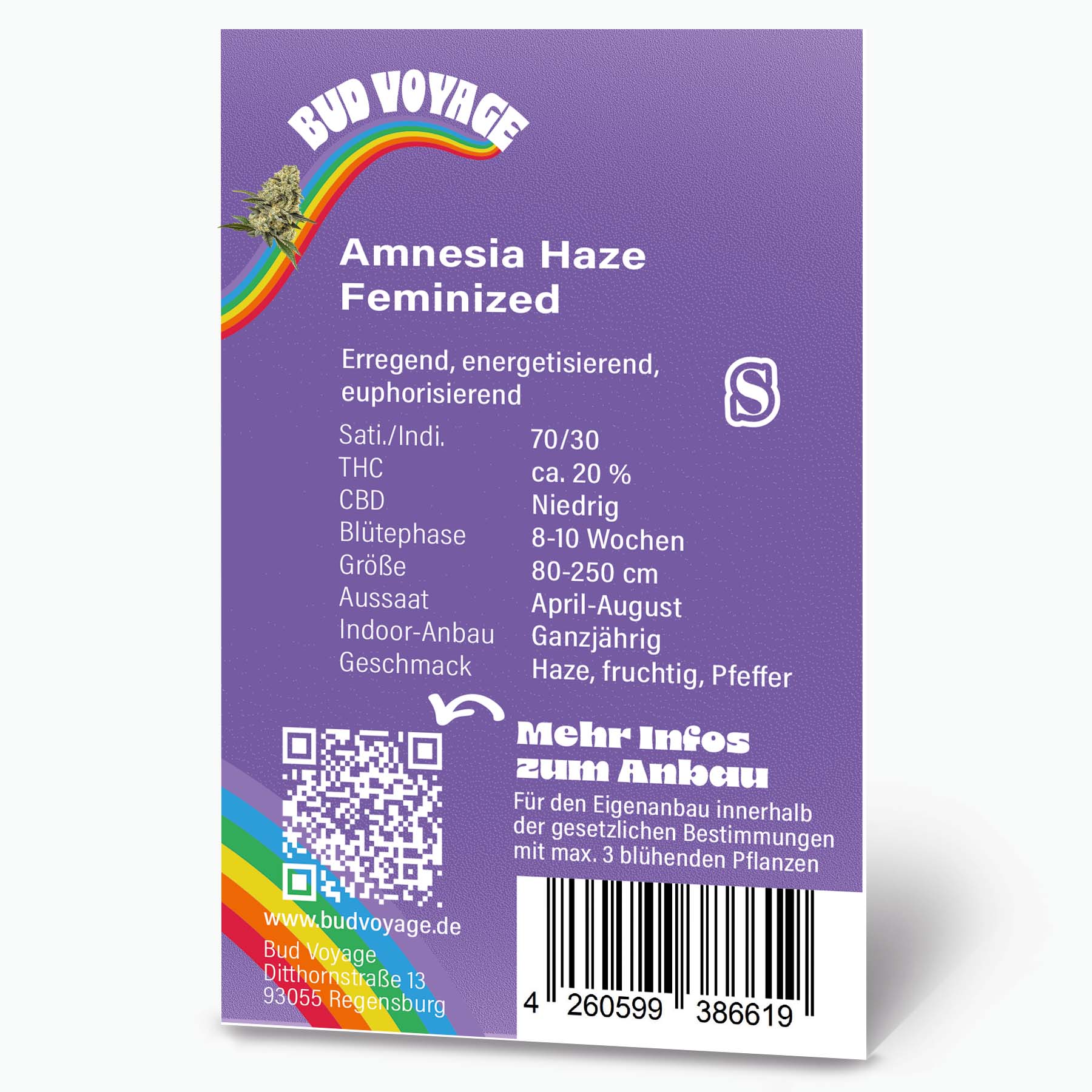 Graphic design by Bud Voyage depicting Amnesia Haze Feminized cannabis with a vibrant rainbow and QR code, showcasing details like a purple background and fruity pepper flavor notes
