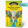 Bud Voyage graphic design: Amnesia Lemon feminized seeds, three seeds in a test tube, surrounded by cannabis flowers and a rainbow on a yellow background, showing vivid colors and detailed cannabis flowers
