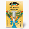 Bud Voyage graphic design: Big Banana feminized cannabis seeds in a test tube in front of a rainbow and maritime waves with three seeds and flowering cannabis plants
