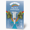 Bud Voyage graphic design: Big Bud feminized cannabis seeds in a test tube in front of rainbow and turquoise wave with three seeds three female plants and a stylized package depicted
