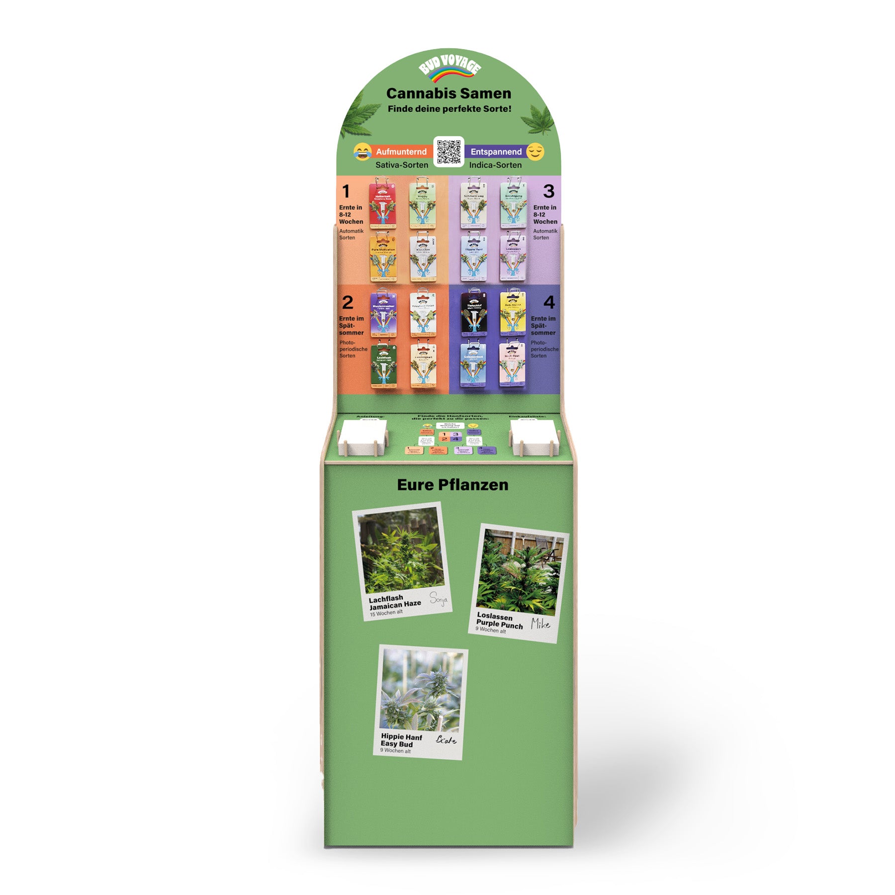 Produktbild: Bud Voyage Cannabis Samen Display mit  Sativa und Indica Sorten,  farbigen Karten und Fotos von  Jamaican Haze und Purple Punch Pflanzen

