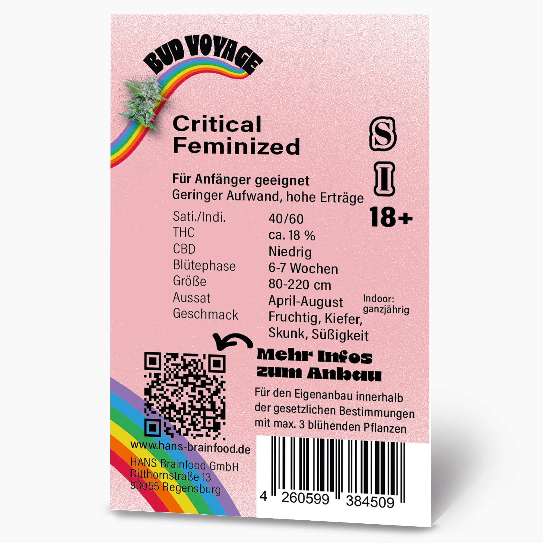Graphic design by Bud Voyage depicting Critical Feminized cannabis with a rainbow, QR code, and barcode, showcasing fruity, pine, and skunk-like flavor notes.
