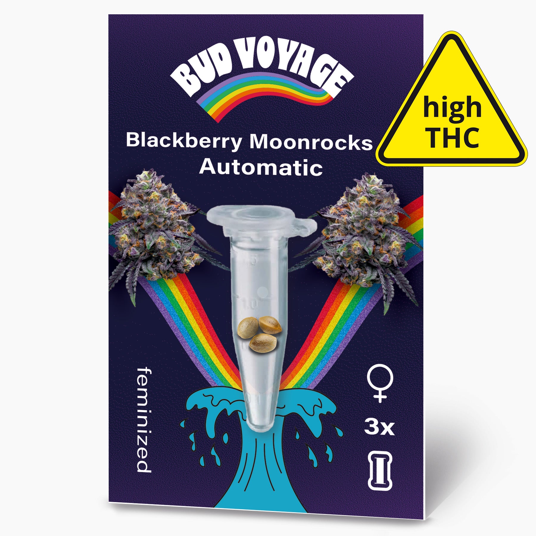 Bud Voyage graphic design: Blackberry Moonrocks Automatic seed pack with three feminized seeds, rainbow, blue wave and purple buds
