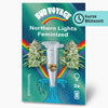 Bud Voyage product graphic: feminized Northern Lights cannabis seeds against the background of a rainbow and northern lights with three seeds in a test tube and stylized waves
