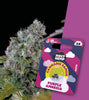 US Genetics hemp plant with purple and green flowers and three Purple Amnesia cannabis seeds in packaging with cloud motifs and the words Holy Hemp
