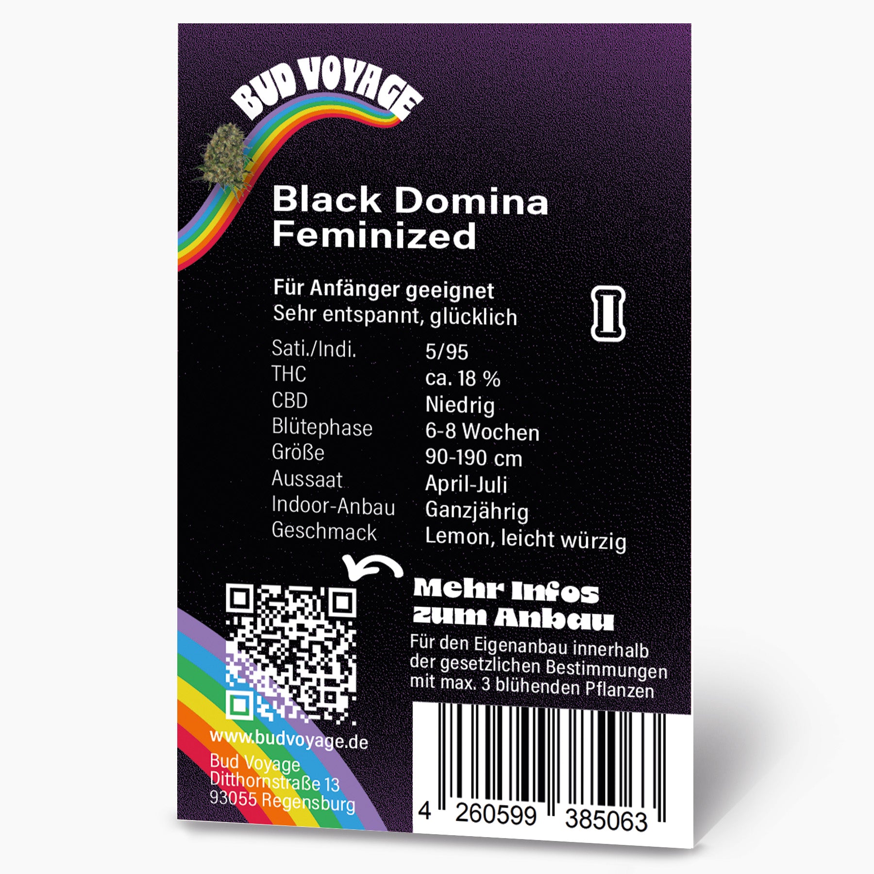 Bud Voyage graphic design: Black Domina feminized cannabis seed packet with rainbow, QR code and product details on a black background
