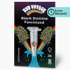 Bud Voyage graphic design: Black Domina feminized cannabis seeds in a test tube on a black background with rainbow and turquoise waves three seeds are visible
