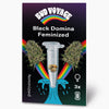 Bud Voyage: Digital print, Black Domina feminized cannabis seeds displayed in a test tube with rainbow and turquoise wave three seeds are visible