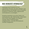 Digital image, text on sage green background with the caption What does hydrolysis mean, explains the process of hydrolysis of proteins with water and citric acid, with dark green text and the number 1 at the end
