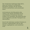 Unknown, text-based image: a green background shows German text about the hydrolysis of proteins and amino acids in a clean, modern font with a number 2
