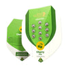 Graphic by Royal Queen Seeds shows ten Cherry Pie autoflowering cannabis seeds in green packaging with a cherry motif and the brand name