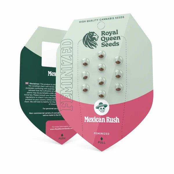 Royal Queen Seeds packaging shows feminized Mexican Rush cannabis seeds in clear capsules on a pink and green background with a skull and crossbones logo
